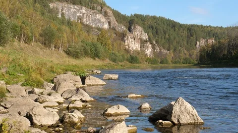 Static view to slow mountain river and pine forest Video stock 101773316