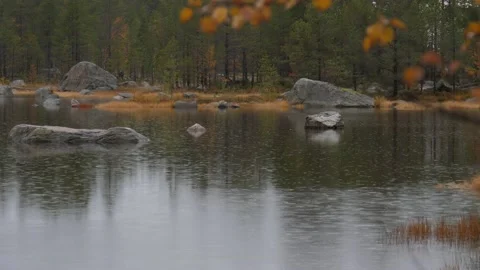 Static view to small Karelia lake. Drizzling rain. Autumn forest Stock Footage 146322012