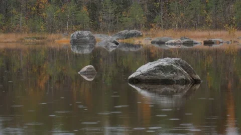 Static view to small Karelia lake. Drizzling rain. Autumn forest Video stock 147743607