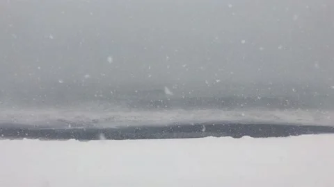 Static view of strong snow storm in a beach with rough sea and flying birds i Stock-Footage 145831205