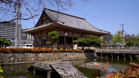 Static view of the surrounding of a temple. Video stock 96559922