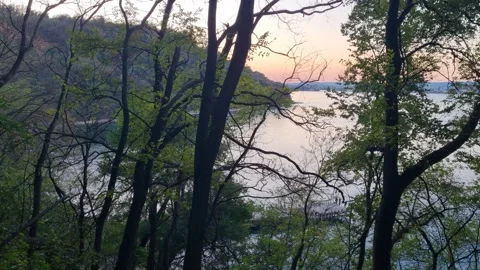 Static view of tranquil sea framed by trees at sunset Stock Footage 320455371