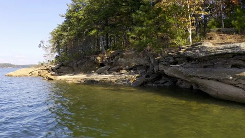 Static view of a tree lined lake shore on a sunny day. Stock Footage 119299051