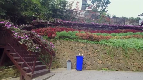 Static view of wooden stairs and terraced garden landscape Stock Footage 345650344