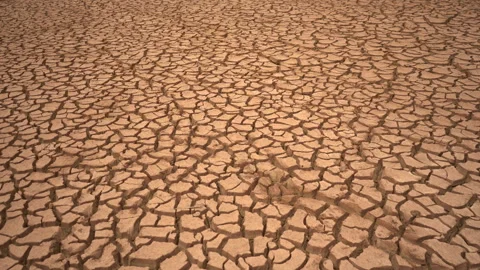 Static Wide Angle View of Deeply Cracked Parched Earth in Severe Climate Crisis Vídeos de archivo 334721503