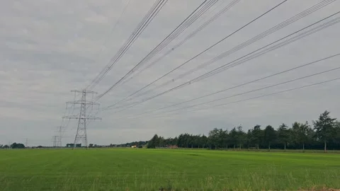 Static Wide Angle View of Power Transmission Lines Across Dutch Farmland Video stock 337438773