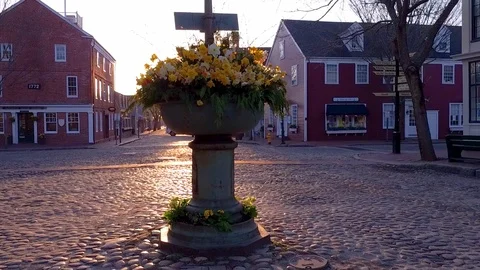 Static Wide of Daffodils at The Monument on Main Street During Daffodil Parade Stock Footage 87724624