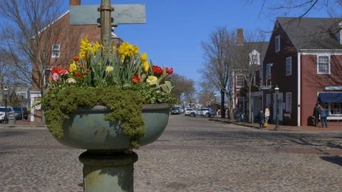 Static Wide of Daffodils at The Monument on Main Street During the parade Stock Footage 87724837