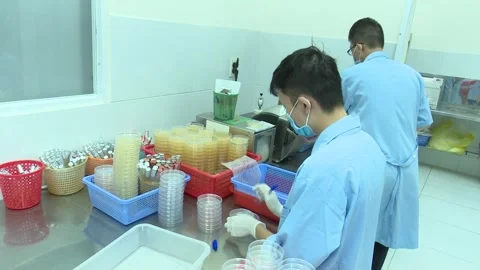 Static Wide Medium Shot Three Technicians Working In Microbiology Lab Stock Footage 345048596