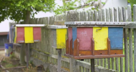 Static wide shallow focus shot, small colorful beehive apiary. Stock Footage 132497388
