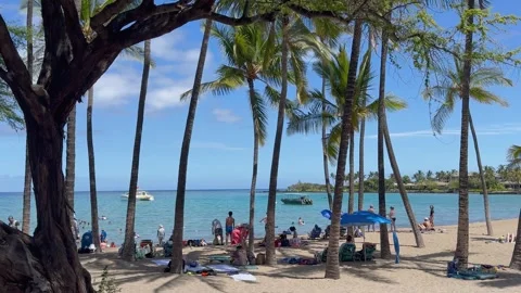 Static Wide-shot of beachgoers and palm trees at Anaeholomalu Bay, Waikoloa HI Stock Footage 291465393