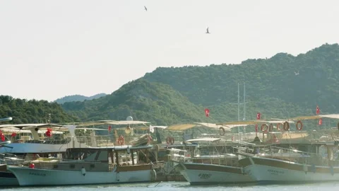 Static, wide shot capturing a row of docked sightseeing or excursion boats i Vídeos de archivo 319222546