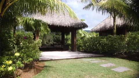 Static wide shot of Indigenous hut made by the Kalinago Barana Aute pre- Stock-Footage 253495265