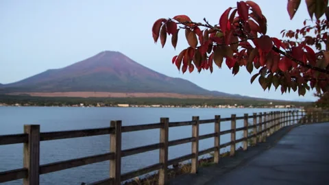 Static wide shot of Mount Fuji and Lake Yamanaka with red autumn leaves Stock Footage 321116796