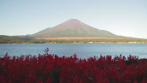 Static wide shot of Mount Fuji and Lake Yamanaka with red flowers in Japan Stock Footage 321137518