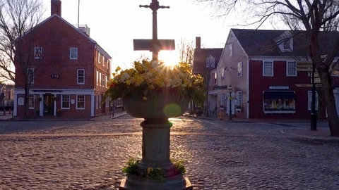 Static Wide Sunrise of Daffodils at The Monument During the Daffodil Parade Stock Footage 87725744
