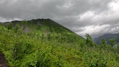 Static wide view of lush green mountain ridge and birch forest in Senja Norway Stock-Footage 342059401