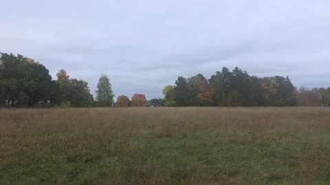 Static wide view of an open autumn meadow in Sweden Stock Footage 347224073