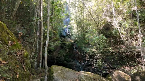 Static wide view of a peaceful hidden waterfall inside a rock cave Stock Footage 340276647