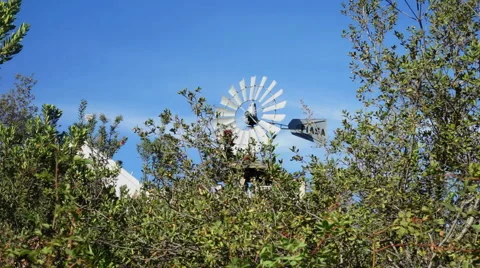 Static Windmill Video stock 44113391