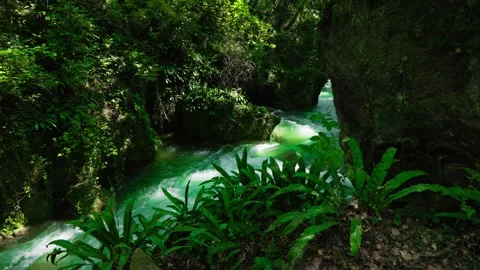 Static zoom effect shot of Marmore Waterfall Stock Footage 315348161