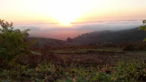 Static zoom out view at sunset in Serra De Monchique Stock Footage 220430874