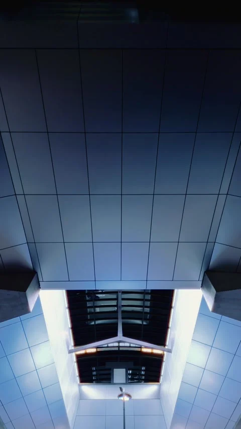 Station Ceiling View with Modern Grid Panels and Skylight at Amsterdam Noord Stock Footage 299769004