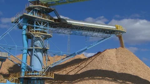 Station for processing wood, sawdust piled in a heap Stock Footage 105542982