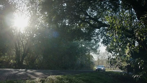 Station Wagon Driving By 스톡 동영상 85822838