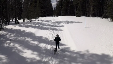 Stationary camera while a man walks through frame with dog snowy scene Stock Footage 128670274