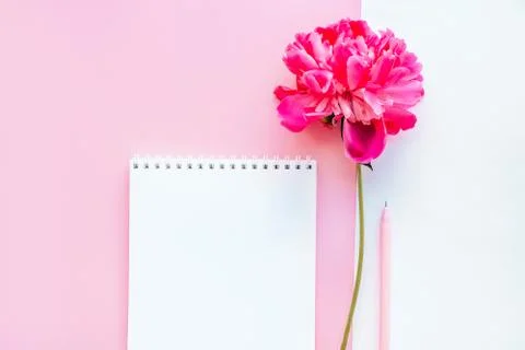 Stationery flatlay with notebook Stock Photos