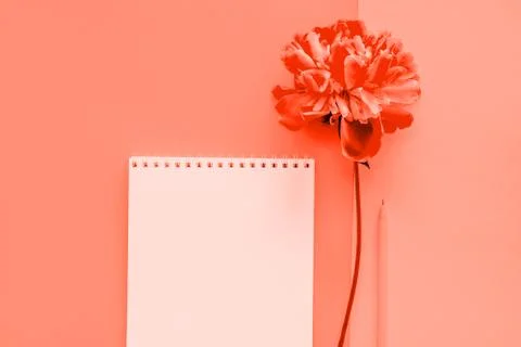 Stationery flatlay with notebook Stock Photos