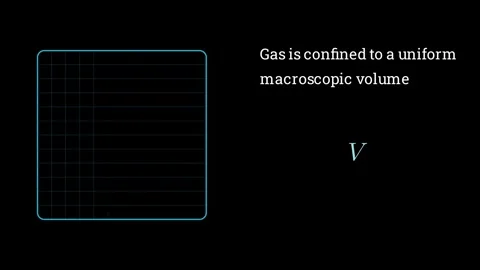 The Statistical Mechanics Видео 336565624