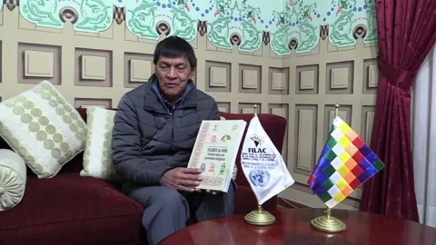Statistics and programs, Latin America's debts to indigenous youth, La Paz, BO - Stock-Footage 204327536