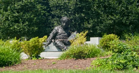 Statue of Albert Einstein at the National Academy of Sciences, Washington D.C. Stock Footage 138826041