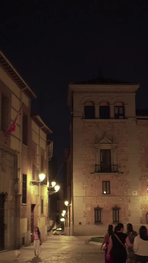 Statue of Álvaro de Bazán in front of Casa de la Villa at night 動画素材 338338328