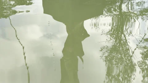 Statue and trees reflect in a serene city fountain pool Stock Footage 336937931