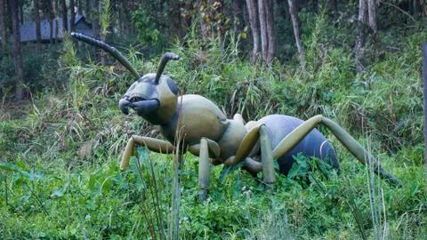 Statue of an ant Foto stock