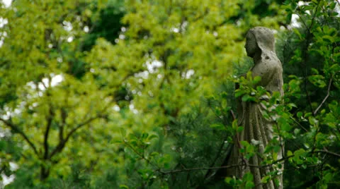 Statue Arms Folded Video stock 24120482