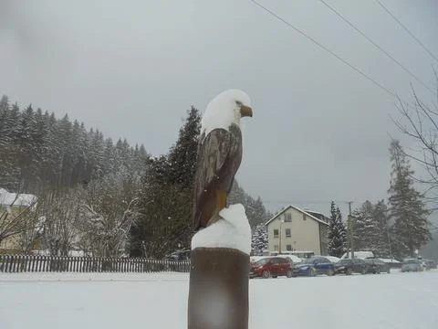 Statue of bald eagle covered by snow in Bila village in Beskydy,Czech republic. Stock Photos