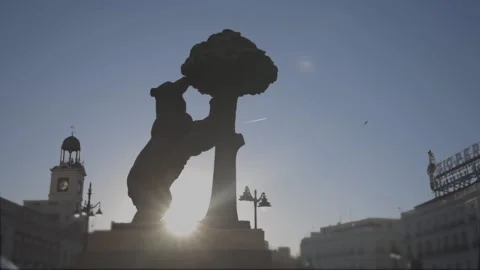 STATUE OF THE BEAR AND THE STRAWBERRY TREE IN  PLAZA SOL, MADRID Stock Footage 162854525