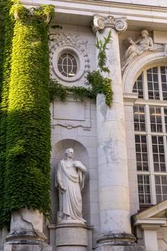 Statue beneath ivy-covered columns on classical building facade in summer m.. Stock Photos