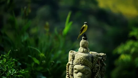 A statue of a bird Stock Footage 155397153