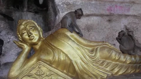 Statue of Buda HD Stock Footage 49395464