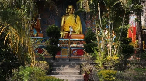 Statue of Buddha in a garden Video stock 58559045