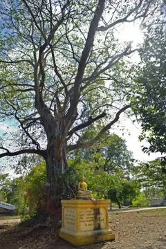 A statue of the buddha Stock Photos