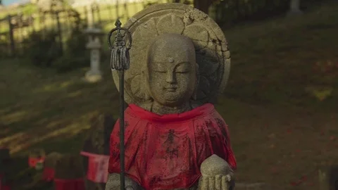 Statue of Buddha in the shade Vidéo 79400641