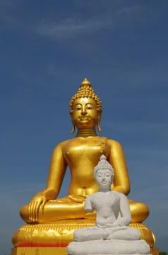 Statue of buddhas Stock Photos