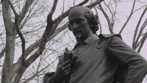 Statue in Central Park Stock Footage