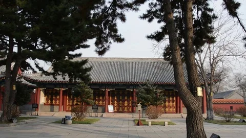 Statue of Confucius Vídeo Stock 85202854